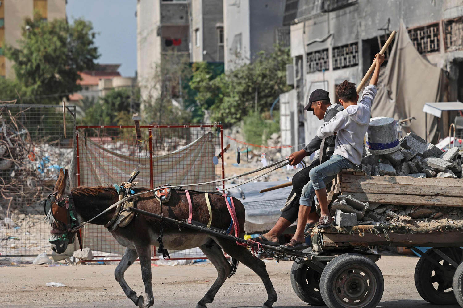فلسطينيان يقودان عربة في غزة