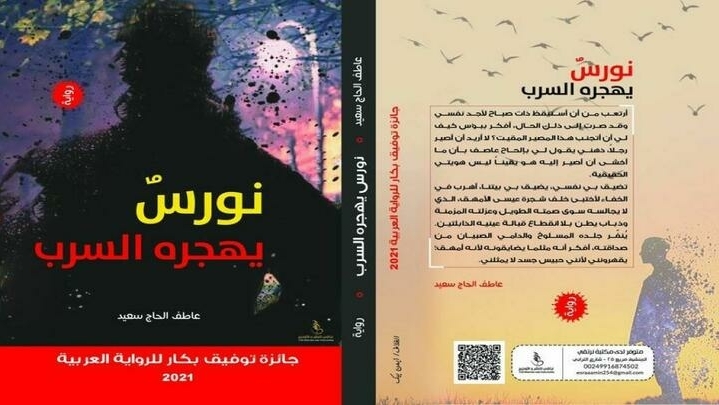 نورس يهجره السرب