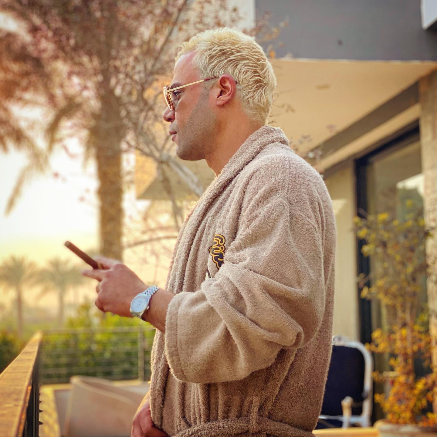 محمد عادل إمام 