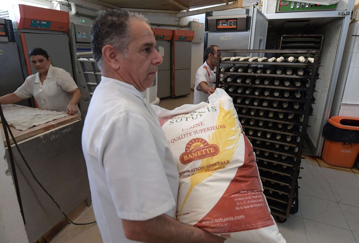 مخاوف من ازمة حبوب في تونس