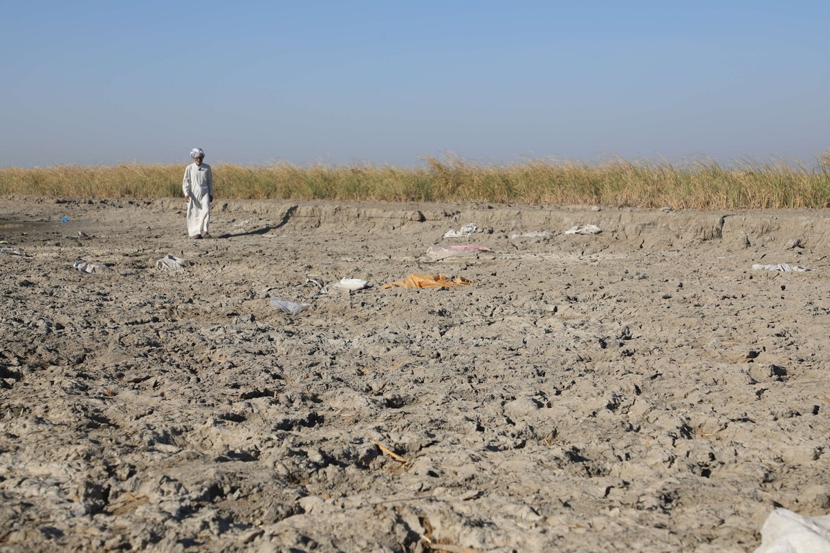 السوداني يطالب بضبط الخطط الزراعية في العراق من خلال استخدام التقنيات الحديثة