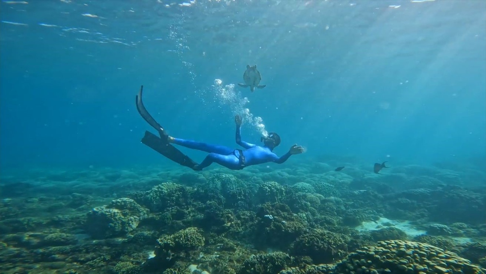 'لن تغوص وحيدًا'