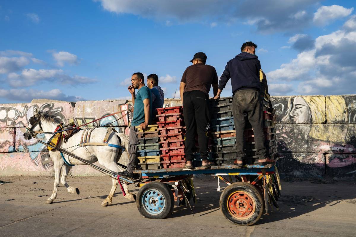فلسطينيون ينقلون بضائع بعربة يجرها حصان