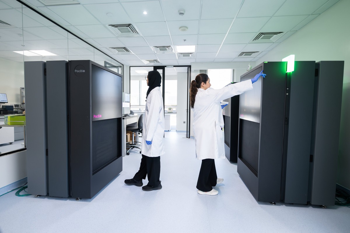 خريطة جينية