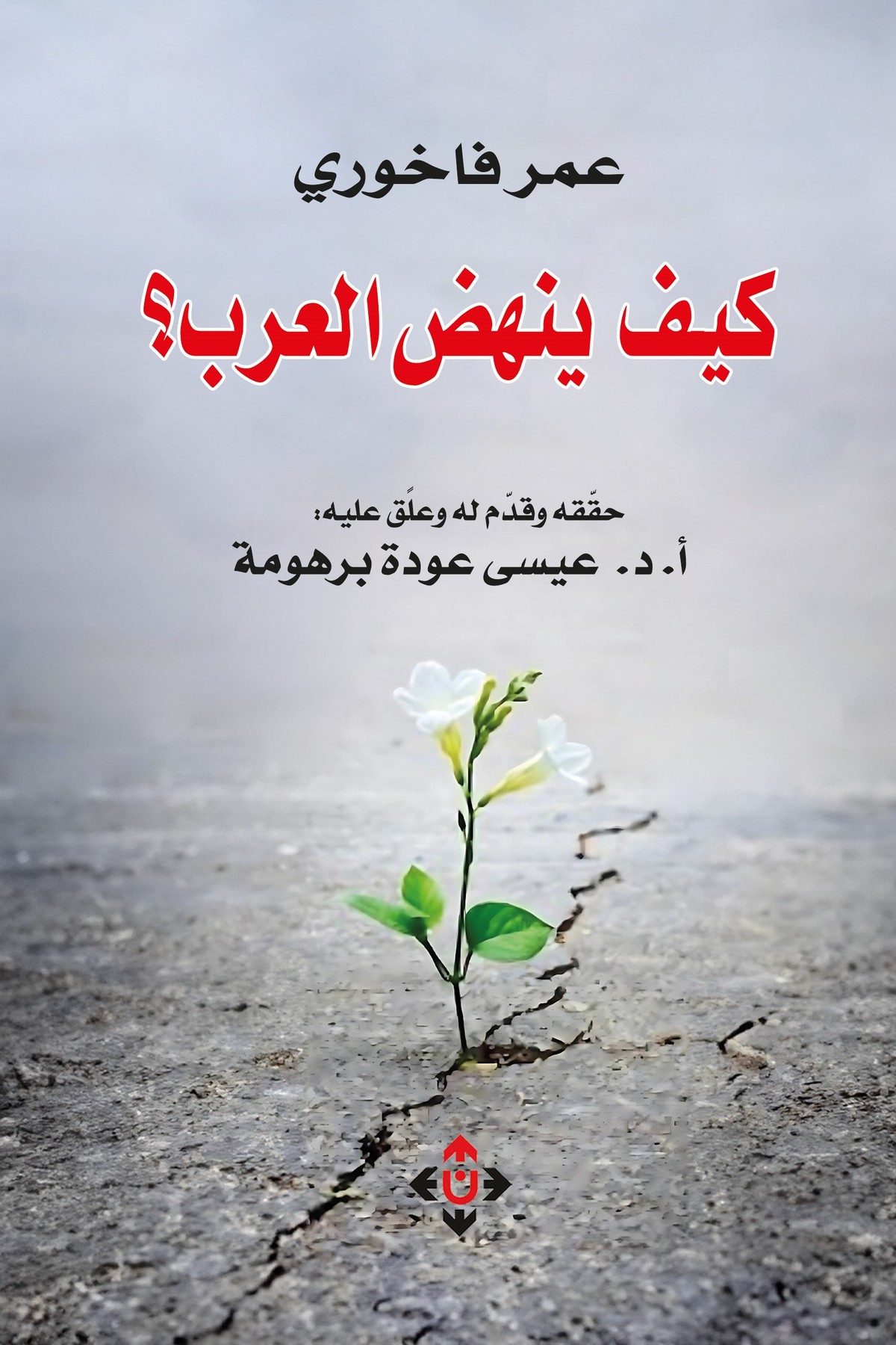 كتاب 'كيف ينهض العرب؟'