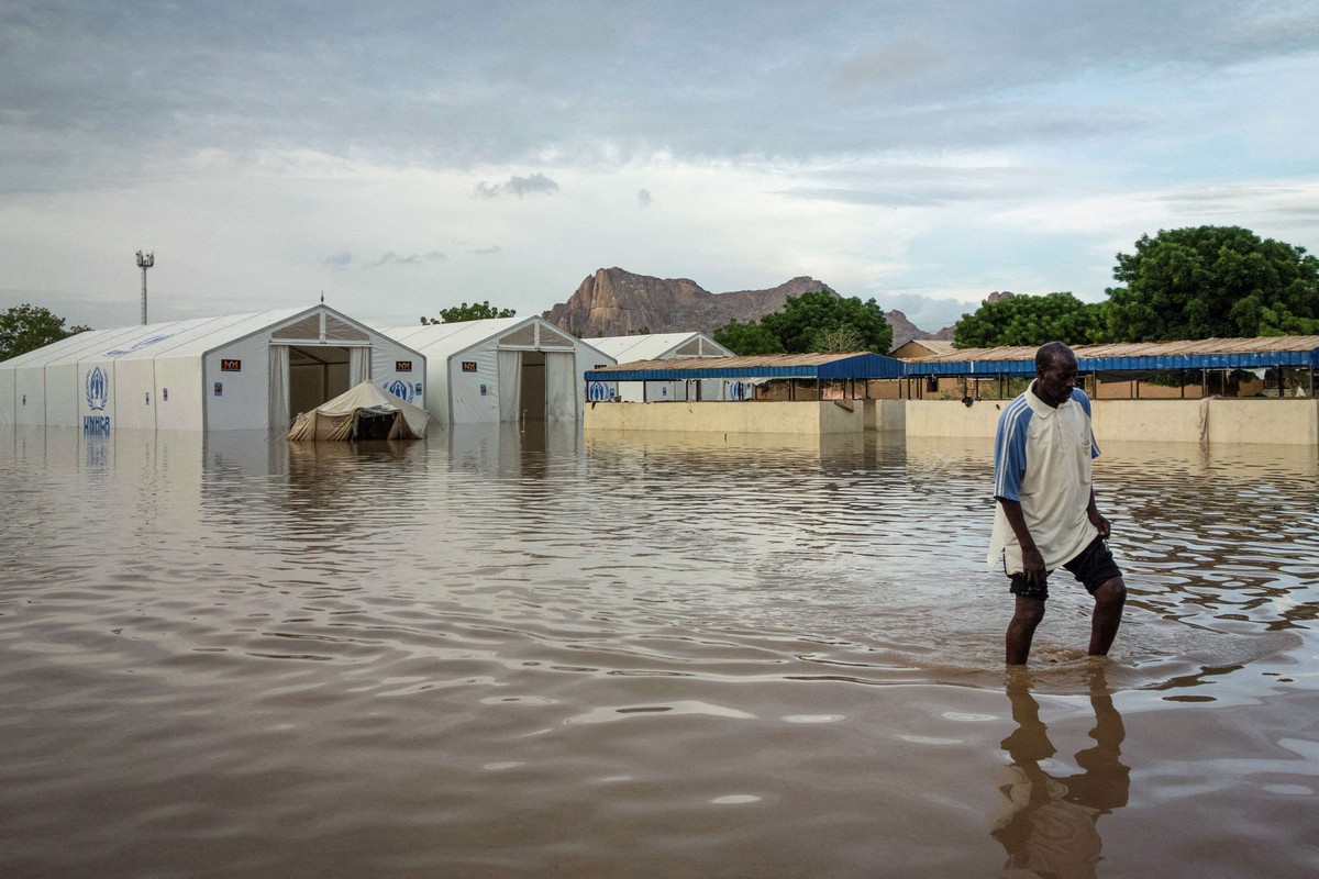 سد النهضة الأثيوبي يتسبب في أزمة بيئية في السودان