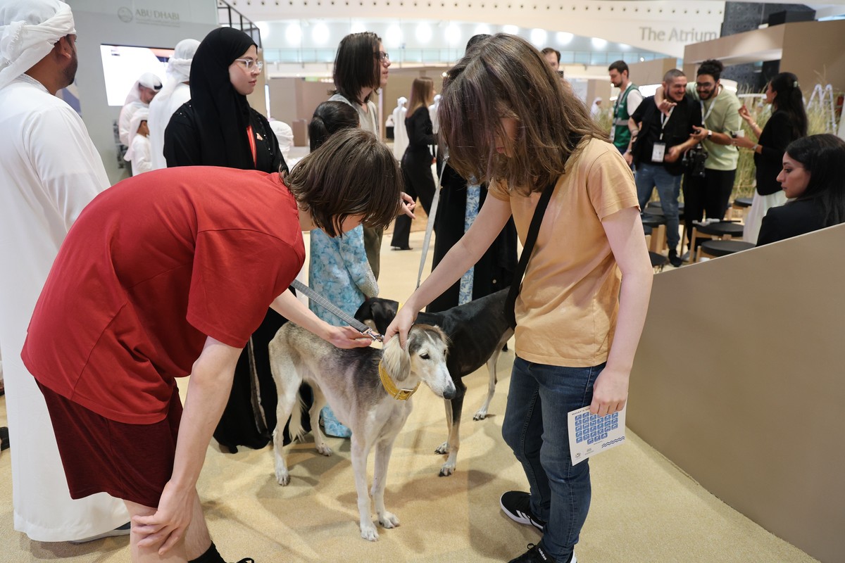 نادي صقاري الإمارات