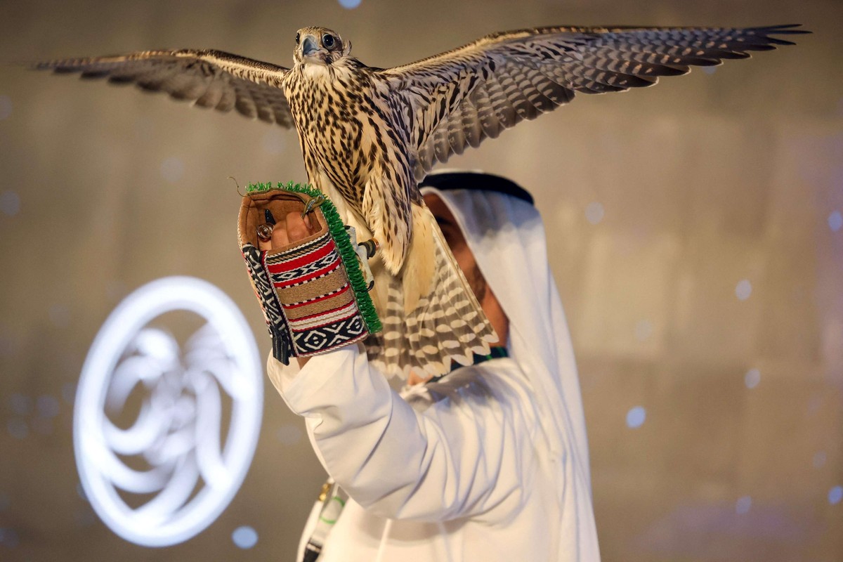 معرض أبوظبي الدولي للصيد والفروسية