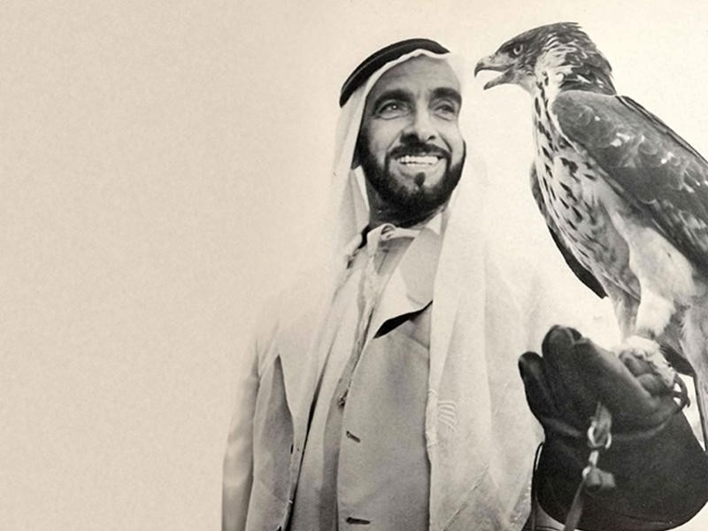 الصقارة