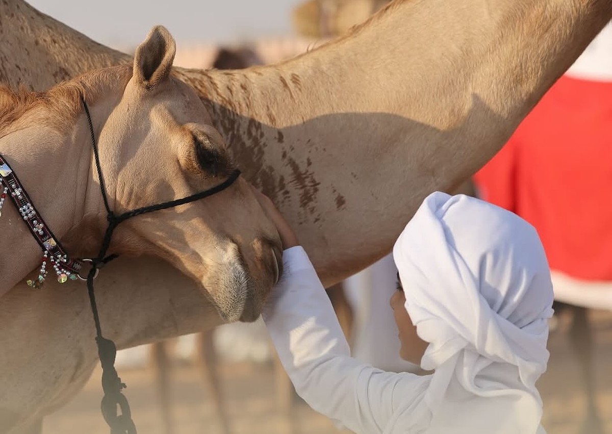 الهوية تزدهر في رمال الظفرة.. مهرجان يحتفي بالإنسان والإبل والتراث