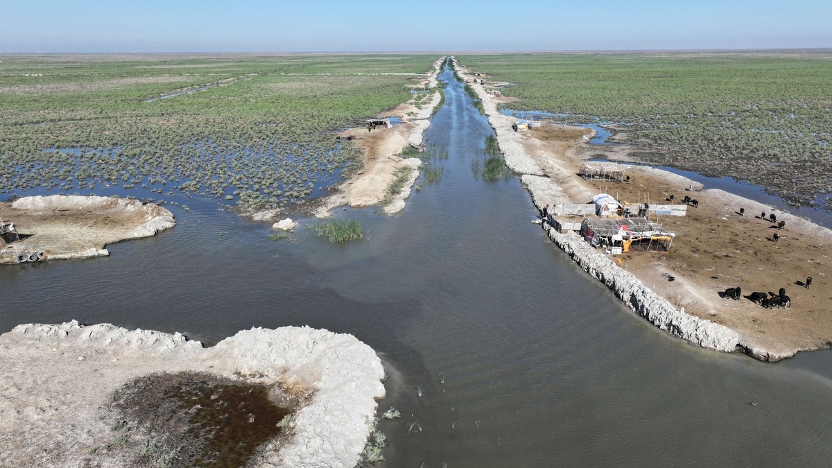 سياسة تركيا المائية فاقمت أزمة المياه في العراق