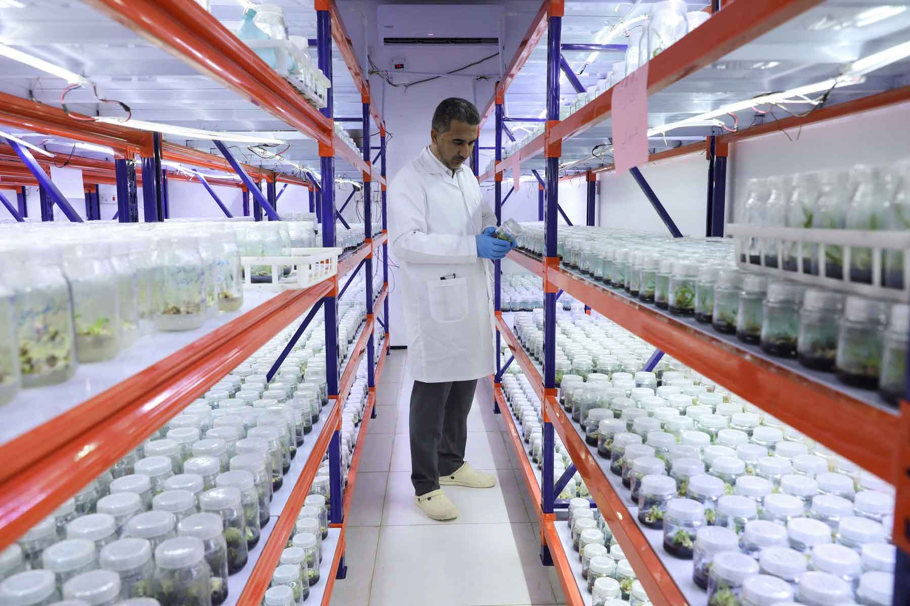 An agriculture that is distinguished by its high production