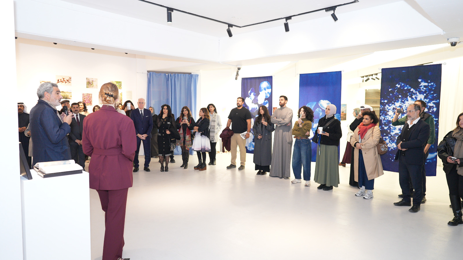 جزيرة فيلكا