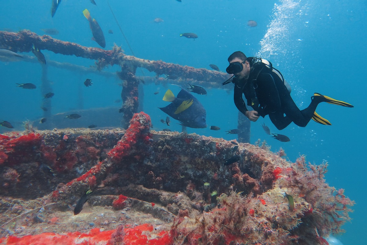 محافظة مسندم تتميز ببيئة بحرية فريدة 