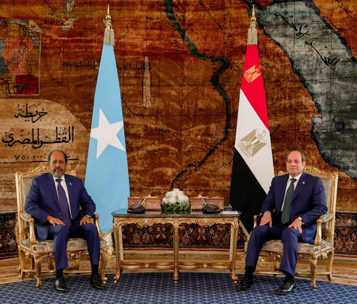 مصر تنظر للصومال باعتبارها فضاء حيويا لأمنها القومي