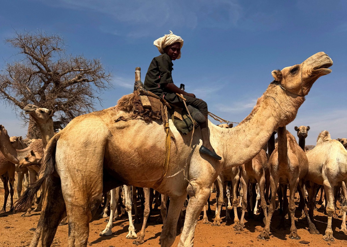 الصحراء تتحول إلى سجن للبدو الرحل 
