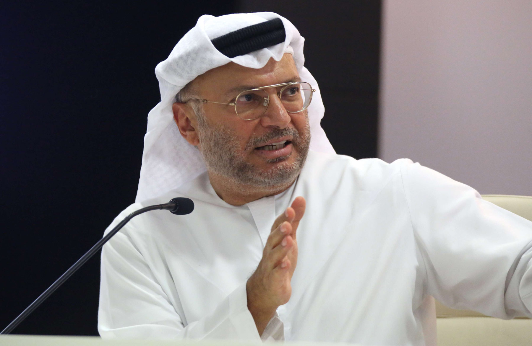 Gargash: We have grown accustomed to Iranian bullying