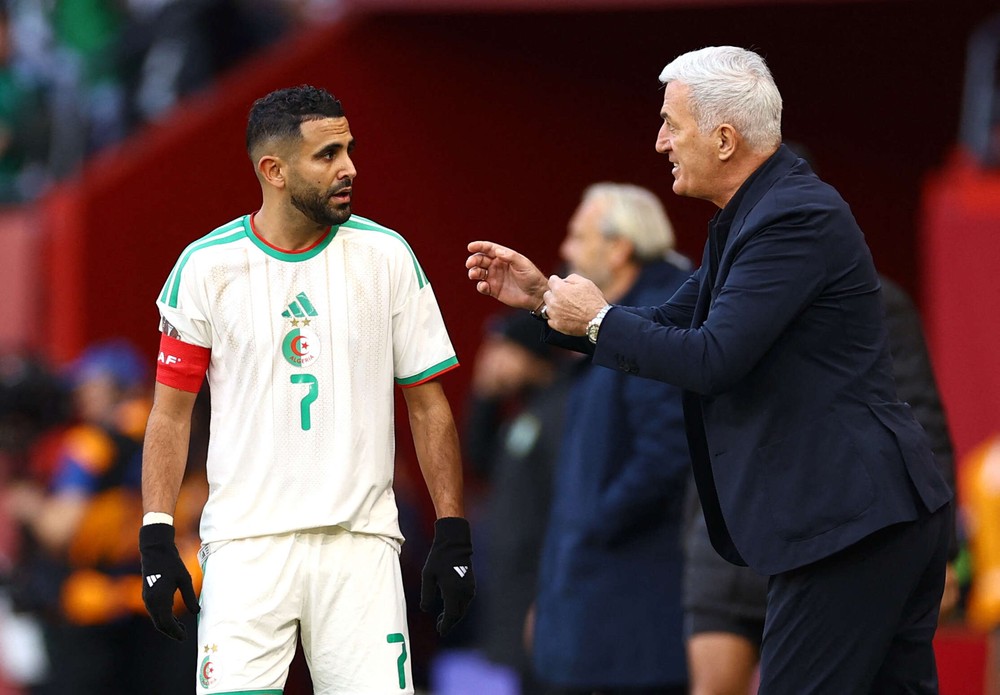 فلاديمير بيتكوفيتش