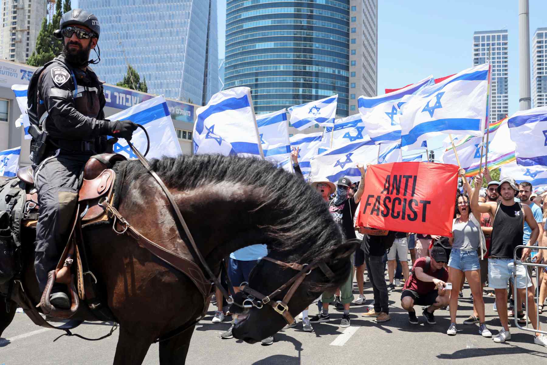 From activism to the ballot box