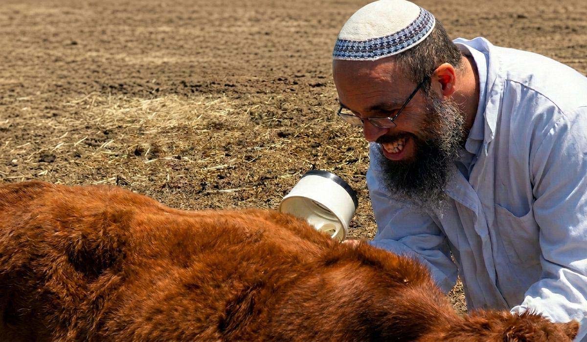 "Is it merely a religious ritual, or an impending engine to displace history in Jerusalem?