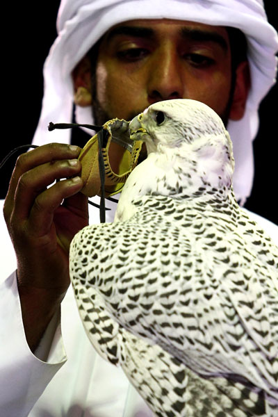 صيد الصقور