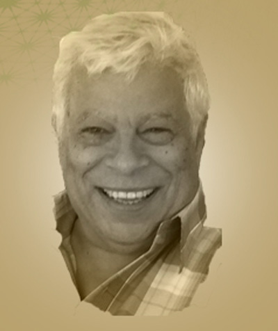 تداخل الأجناس الأدبية