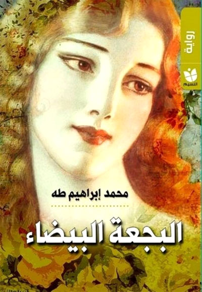 The Egyptian novel