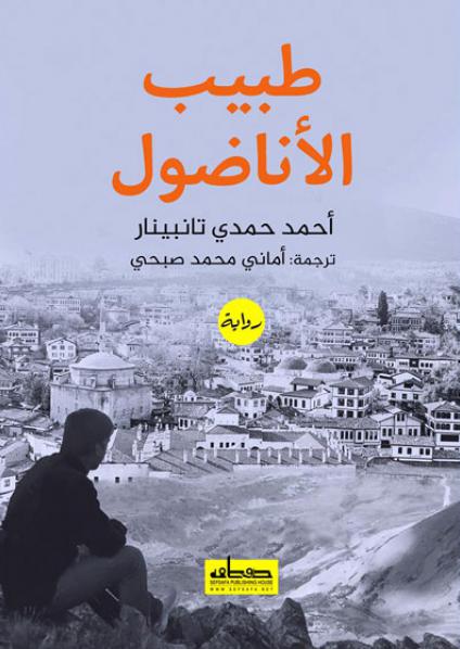Turkish novel
