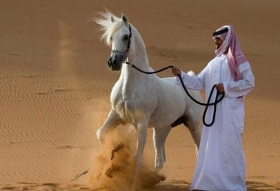 بيئة قاسية