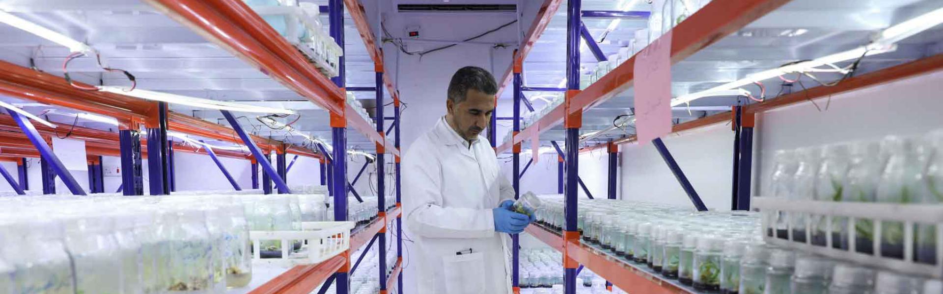 An agriculture that is distinguished by its high production