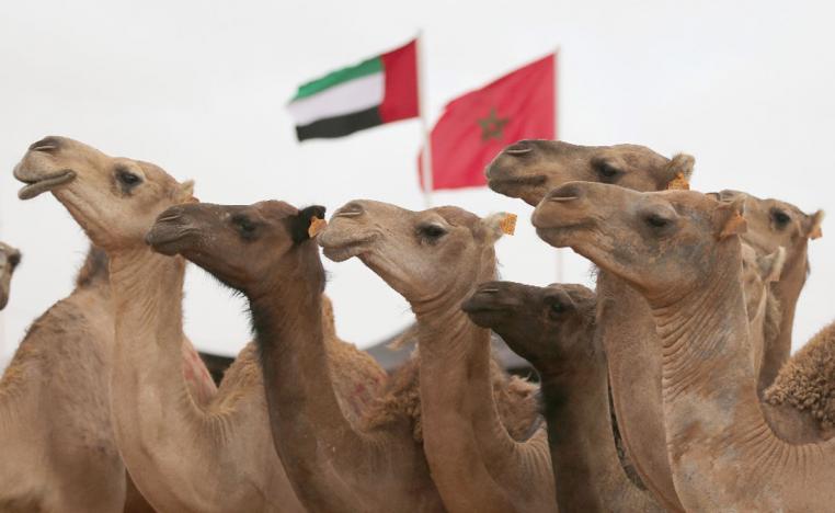 الحفاظ على التراث واجب