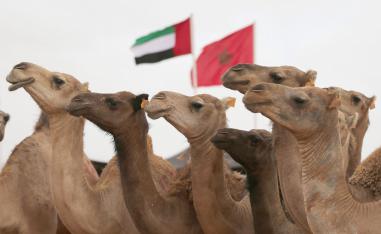 الحفاظ على التراث واجب