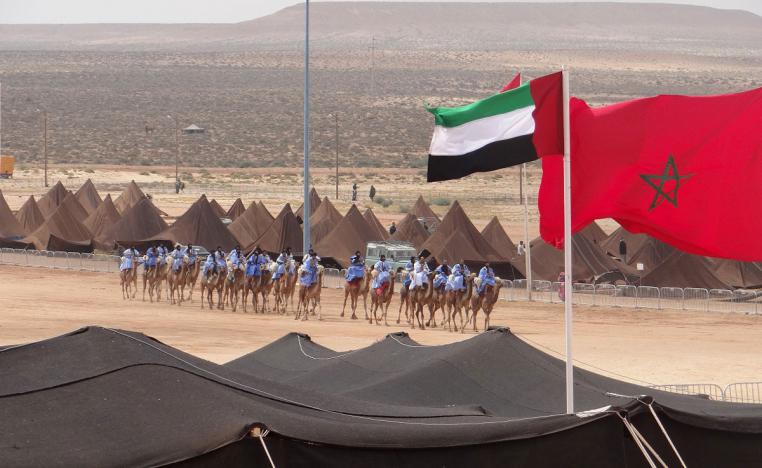 احتفاء بالثقافة البدوية وفراسة أهلها