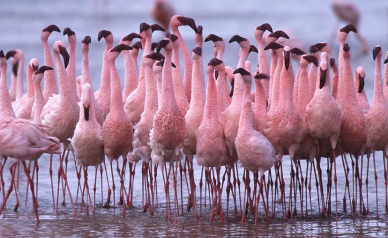 تأثيرات الاحترار المناخي ليست سيئة بالمطلق