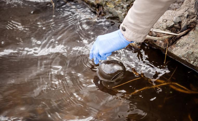 يد تمتد لاخذ عينة من مياة منبع طبيعي