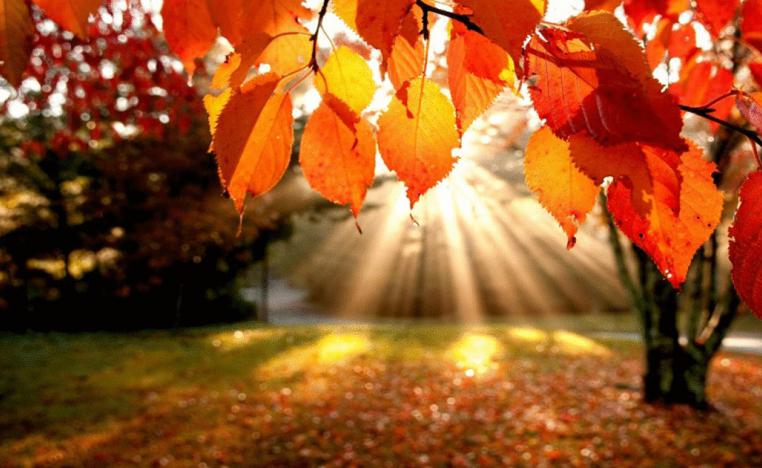 خريف يشبه الصيف يلوح من ظاهرة مناخية