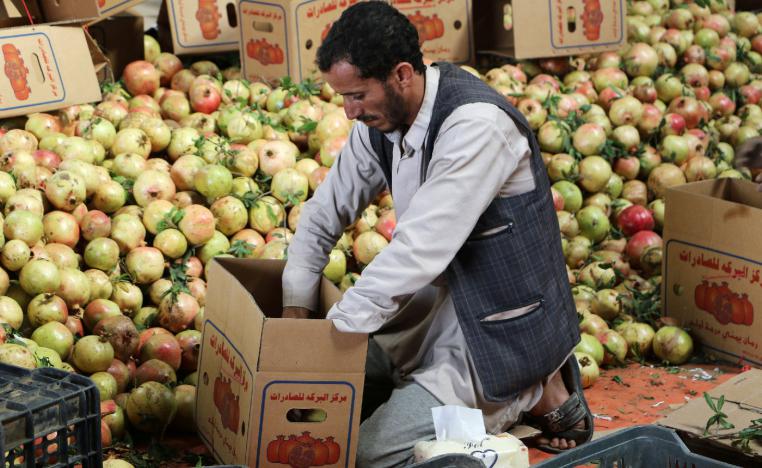 A worker packs pomegranates for export in Saada, Yemen September 25, 2018.