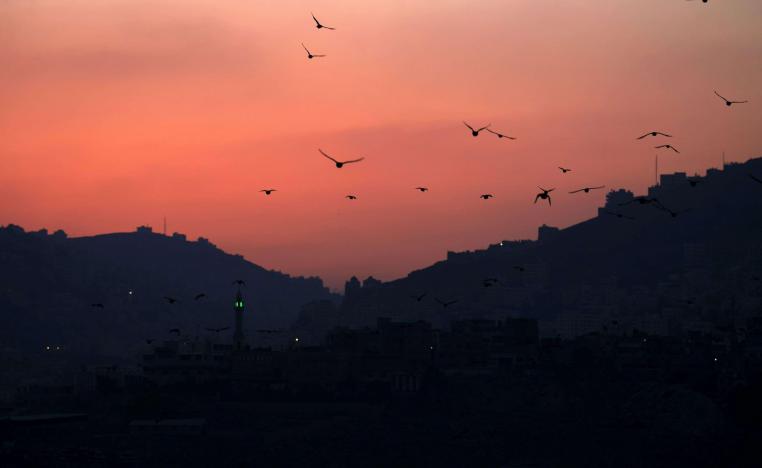 Around 500 million birds migrate through Israel and the Palestinian territories each year