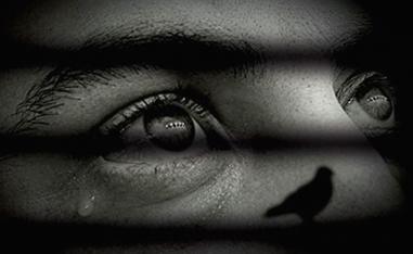 استراتيجيات عديدة دون تغييب الجمالي