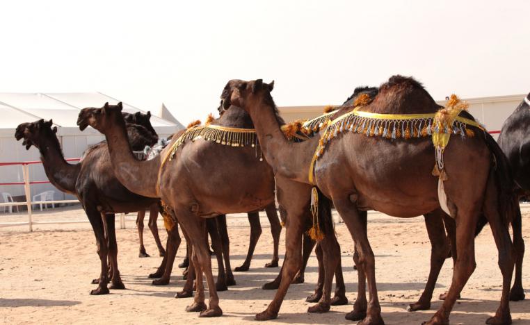 لعبة تفاعلية تناسب كافة أفراد العائلة