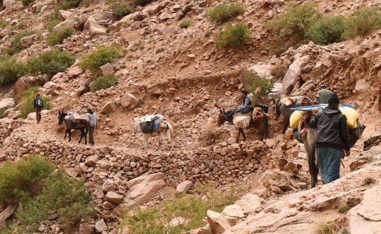 رحلات سياحية مستمرة الى أعلى قمة في شمال أفريقيا