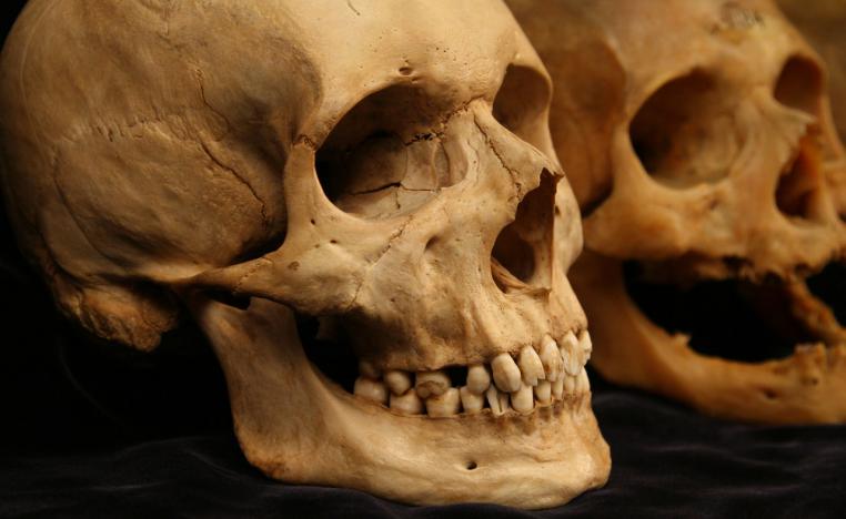 موت جماعي يحدق بالبشرية