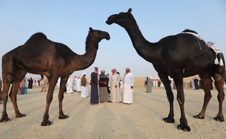 قضاء أجمل الأوقات