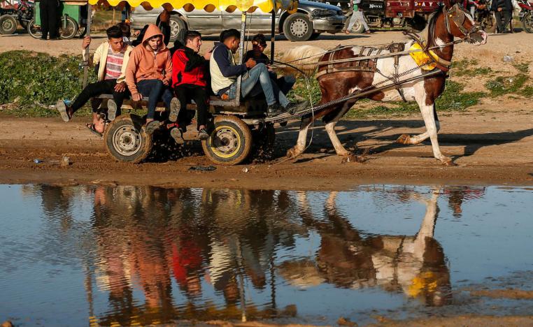 شباب فلسطينيون يركبون عربة يجرها حصان في غزة