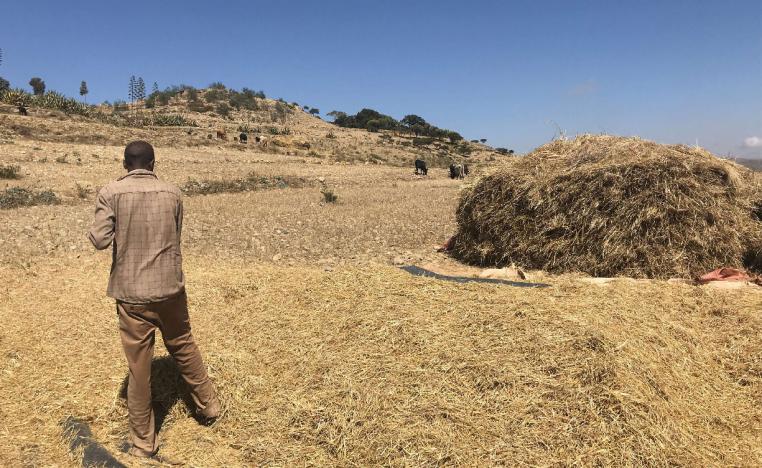 An Ethiopian farmer works on his land near Mekelle, Tigray region of northern Ethiopia December 10, 2018.