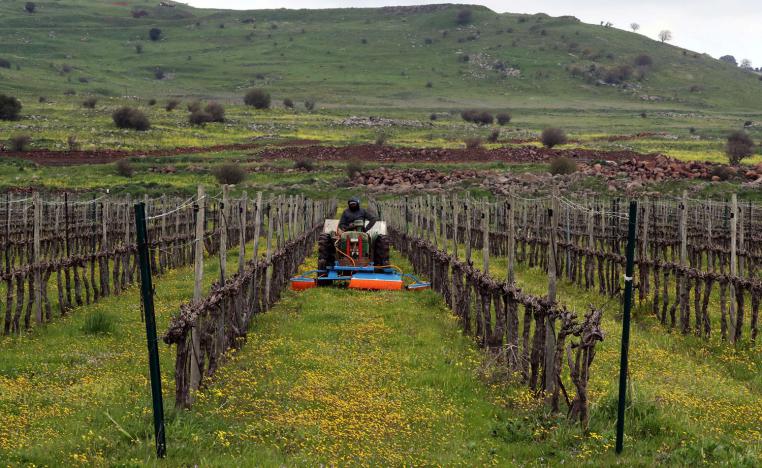 الجولان فرصة لتوافق نادر بين العرب