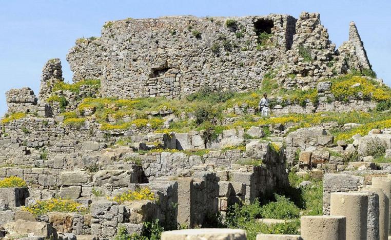 موقع ليكسوس الاثري في الموقع