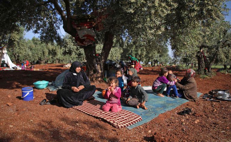 فارون من القصف يحتمون بحقول الزيتون