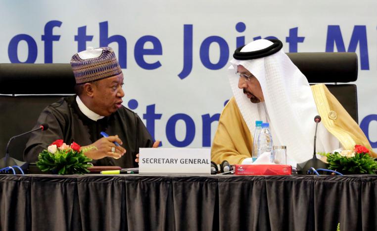 Saudi Arabian Energy Minister Khalid al-Falih talks with OPEC Secretary-General Mohammed Barkindo