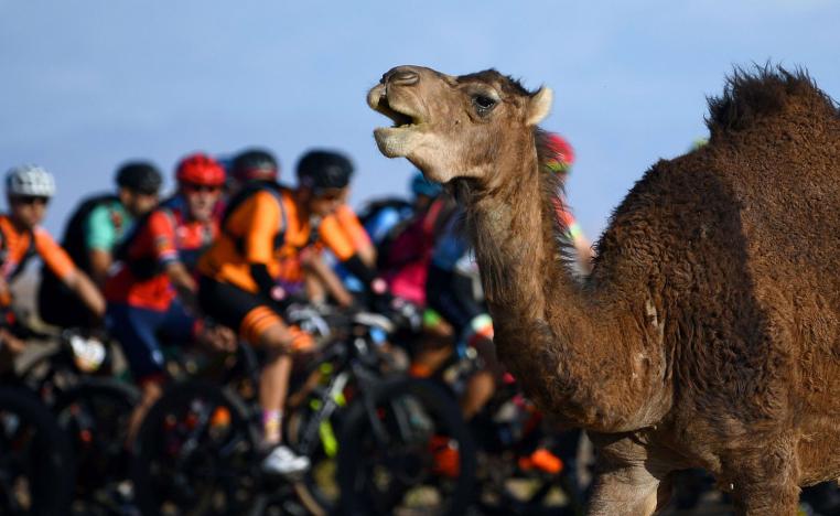 موسم طانطان